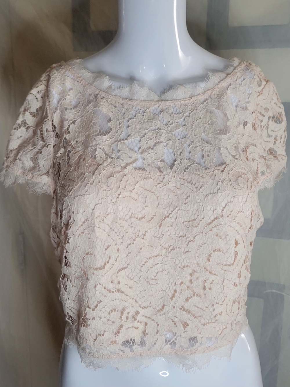 Adrianna Papell Lace Crop Top in Light Blush
